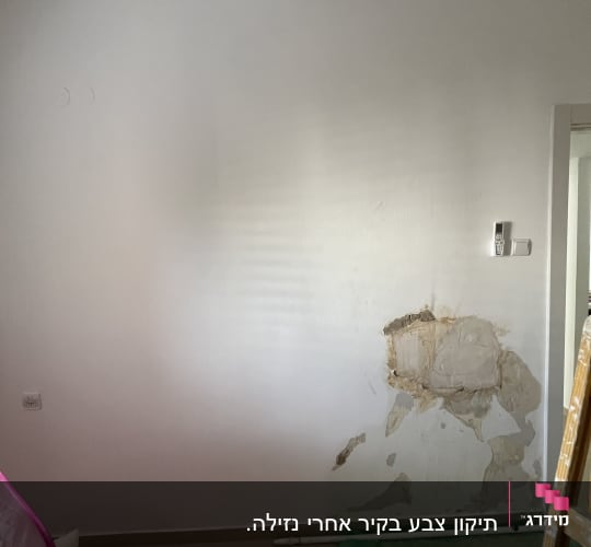 קיר עם טיח מתקלף וסולם עץ בצד